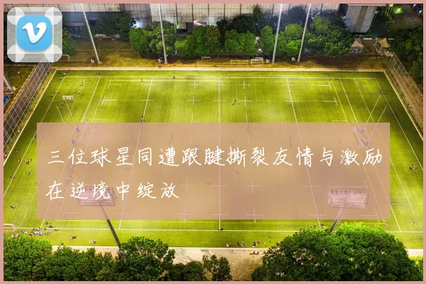三位球星同遭跟腱撕裂友情与激励在逆境中绽放